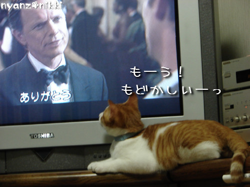 つくたんと映画みよう!_d0355333_14140114.jpeg