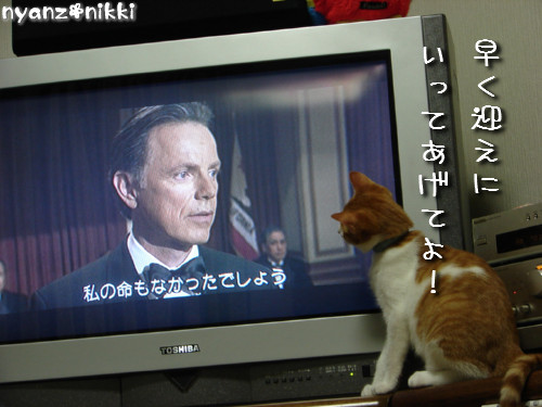 つくたんと映画みよう!_d0355333_14140174.jpeg