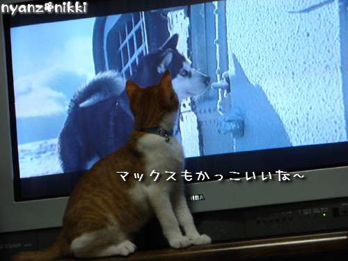 つくたんと映画みよう!_d0355333_14140193.jpeg