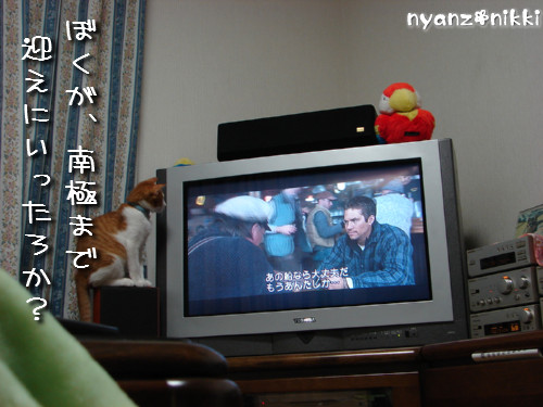 つくたんと映画みよう!_d0355333_14140210.jpeg