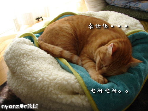 この子はだあれ?_d0355333_14140621.jpeg