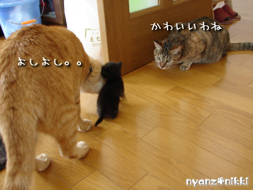 この子はだあれ?_d0355333_14140790.jpeg