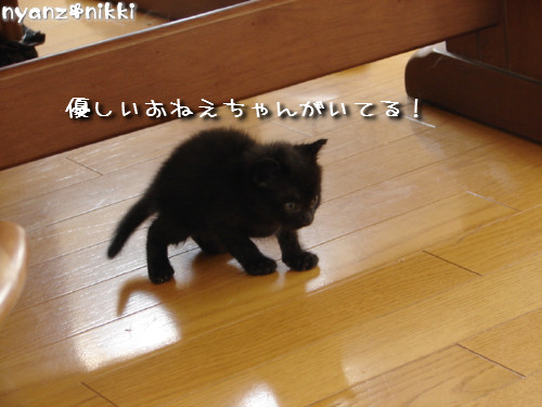 この子はだあれ?_d0355333_14140856.jpeg