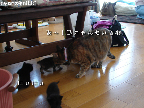 この子はだあれ?_d0355333_14140898.jpeg