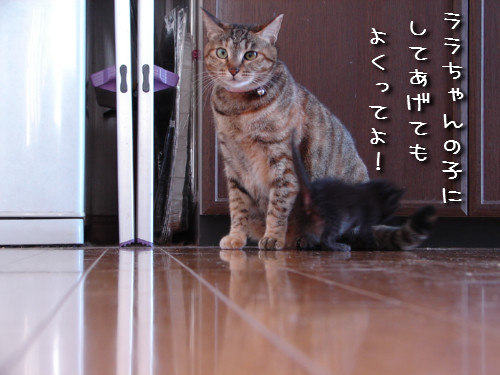 この子はだあれ?_d0355333_14140909.jpeg
