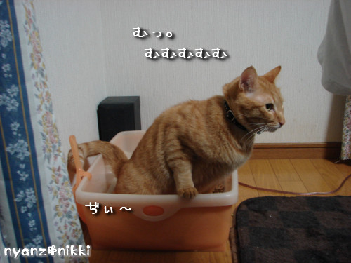 犯にゃんは誰だ★障子編_d0355333_14141552.jpeg