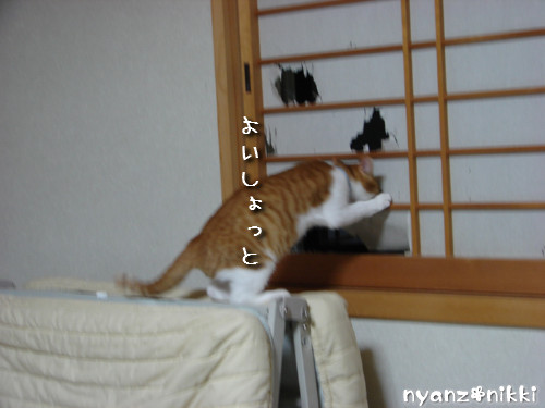 犯にゃんは誰だ★障子編_d0355333_14141630.jpeg