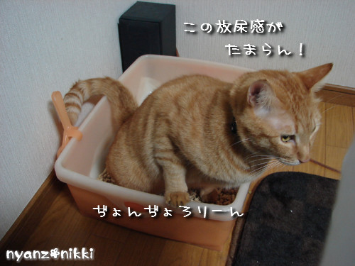 犯にゃんは誰だ★障子編_d0355333_14141688.jpeg