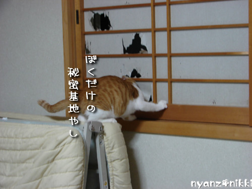 犯にゃんは誰だ★障子編_d0355333_14141732.jpeg