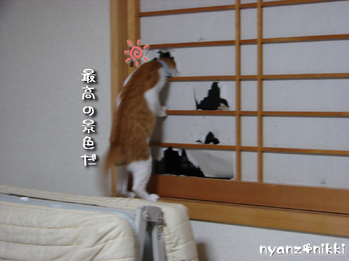 犯にゃんは誰だ★障子編_d0355333_14141872.jpeg