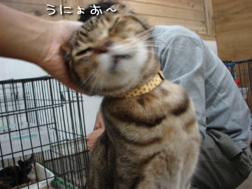 嬉しいお知らせ!_d0355333_14141937.jpeg