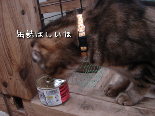 嬉しいお知らせ!_d0355333_14141945.jpeg