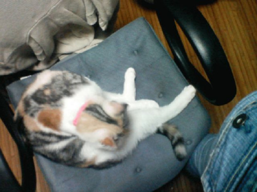 嬉しいお知らせ!_d0355333_14142004.jpeg