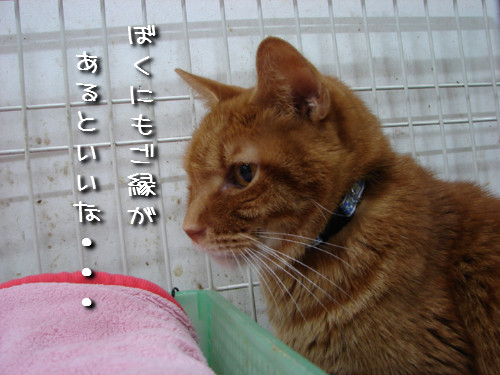 嬉しいお知らせ!_d0355333_14142013.jpeg