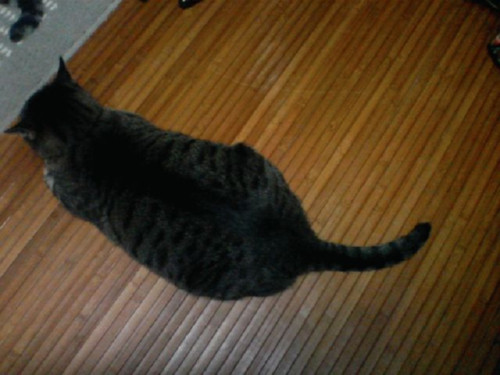 嬉しいお知らせ!_d0355333_14142090.jpeg