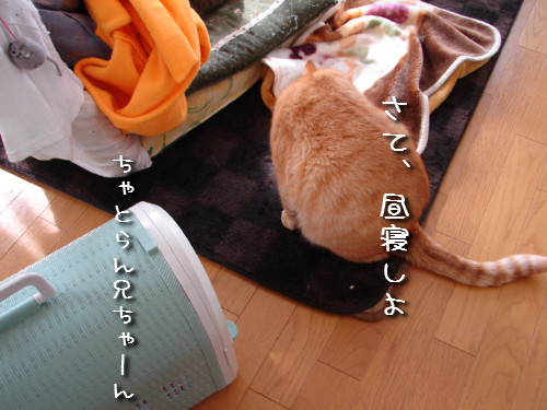 つくつく★武者修行へ_d0355333_14142125.jpeg