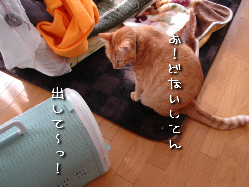つくつく★武者修行へ_d0355333_14142160.jpeg