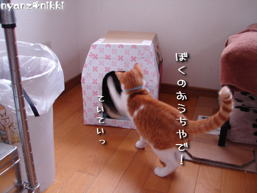 つくつく★武者修行へ_d0355333_14142189.jpeg