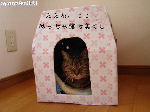つくつく★武者修行へ_d0355333_14142199.jpeg