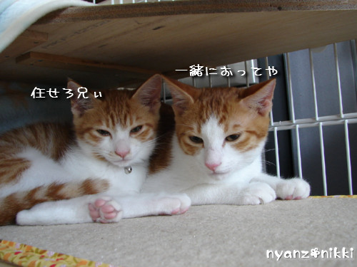 つくつく★武者修行へ_d0355333_14142201.jpeg