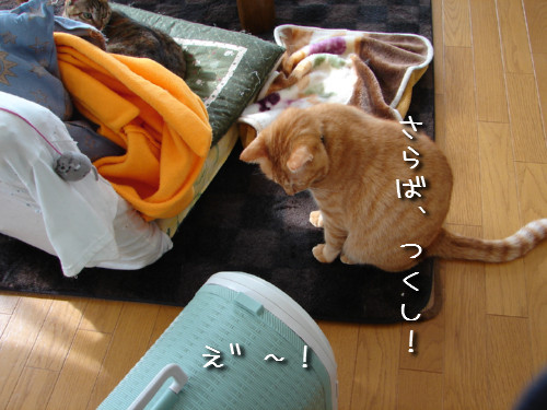 つくつく★武者修行へ_d0355333_14142221.jpeg