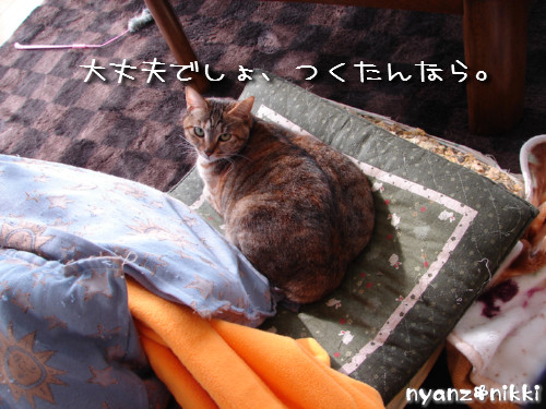 つくつく★武者修行へ_d0355333_14142225.jpeg