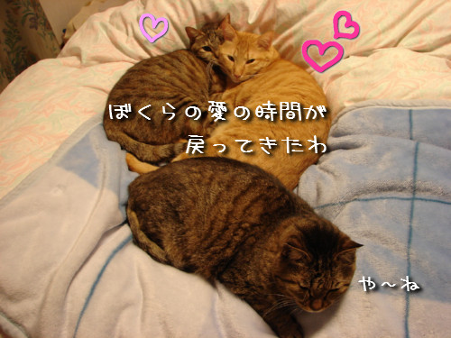 つくつく★武者修行へ_d0355333_14142337.jpeg