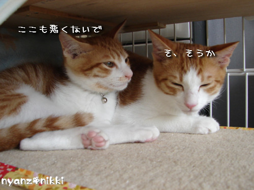 つくつく★武者修行へ_d0355333_14142394.jpeg