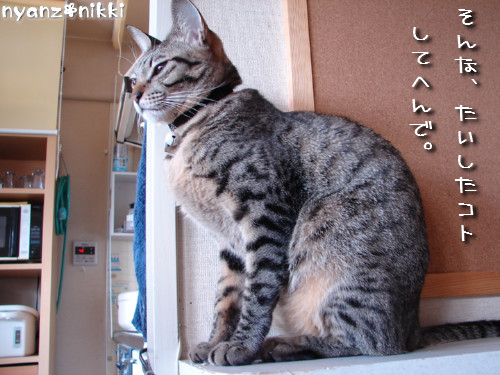 つくしくんのお届け完了♪_d0355333_14142559.jpeg