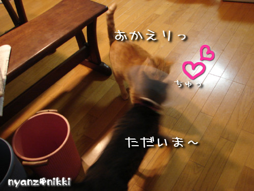 d0355333_14142714.jpeg