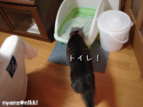 退院しました~っ!_d0355333_14142796.jpeg