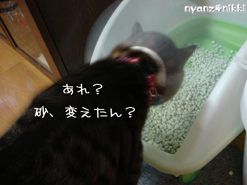 退院しました~っ!_d0355333_14142798.jpeg