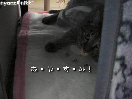退院しました~っ!_d0355333_14142838.jpeg