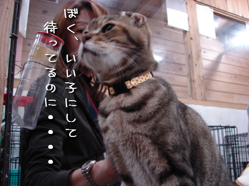 d0355333_14143184.jpeg