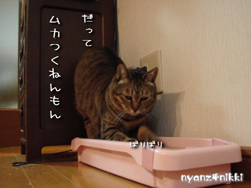 いけず女★笑子_d0355333_14143402.jpeg