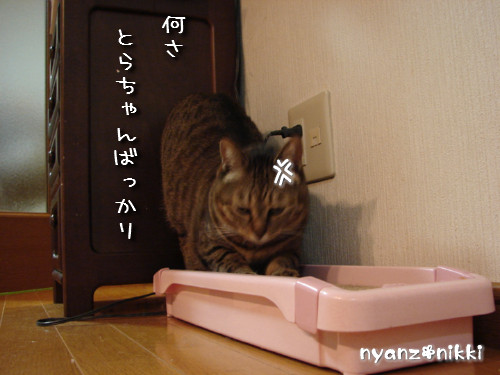 いけず女★笑子_d0355333_14143440.jpeg