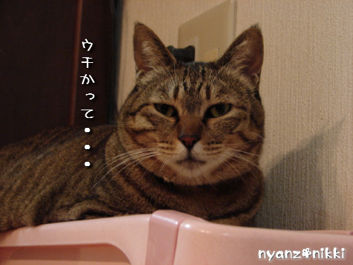 いけず女★笑子_d0355333_14143491.jpeg