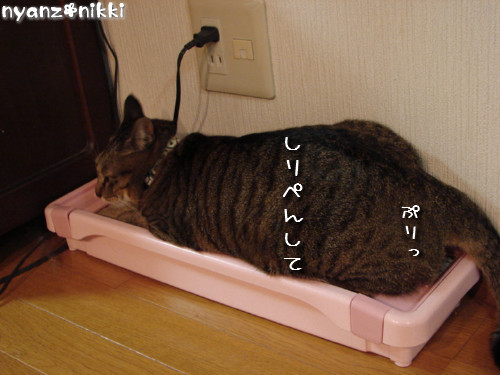 いけず女★笑子_d0355333_14143504.jpeg
