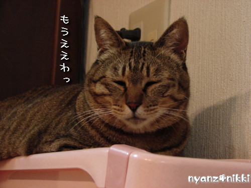 いけず女★笑子_d0355333_14143509.jpeg