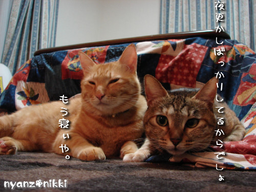 風邪ひいてまんねん_d0355333_14143621.jpeg