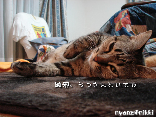 風邪ひいてまんねん_d0355333_14143675.jpeg