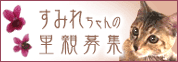 すみれちゃんの募集HPできました~!_d0355333_14144345.gif