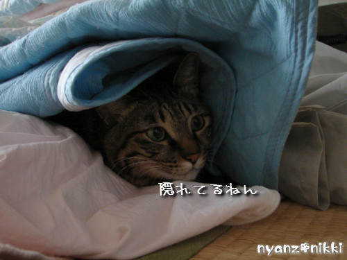 りんりん★めっちゃかわいい!_d0355333_14144715.jpeg