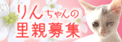 りんりん★素敵なバナーとプレゼント_d0355333_14144716.gif