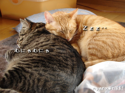 りんりん★素敵なバナーとプレゼント_d0355333_14144768.jpeg