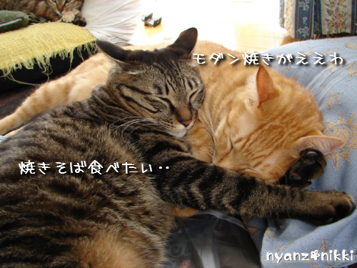 りんりん★素敵なバナーとプレゼント_d0355333_14144797.jpeg