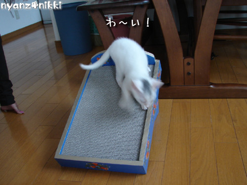 りんりん★素敵なバナーとプレゼント_d0355333_14144828.jpeg