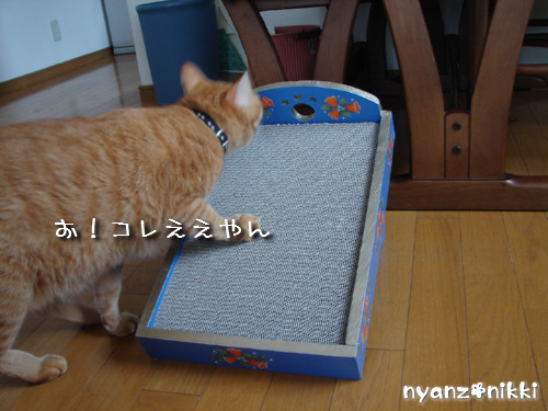 りんりん★素敵なバナーとプレゼント_d0355333_14144904.jpeg