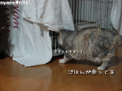 りんりん★病院と新居?!_d0355333_14144956.jpeg
