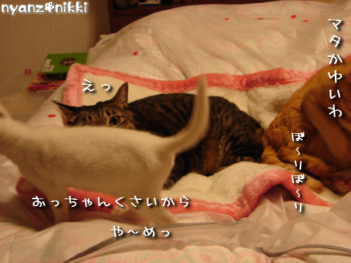 りんりん★添い寝する?_d0355333_14145161.jpeg